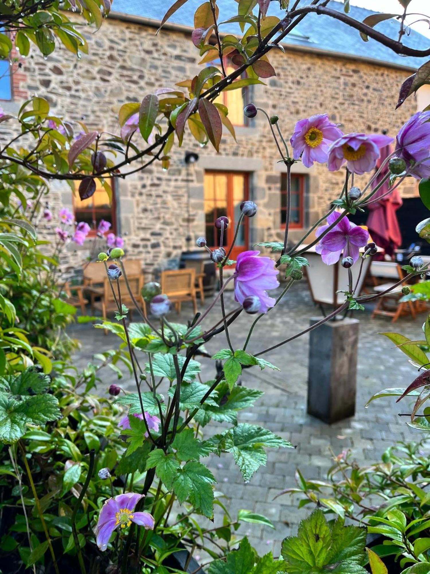 ホテル Domaine Du Tertre Ychot ドル・デ・ブルターニュ エクステリア 写真